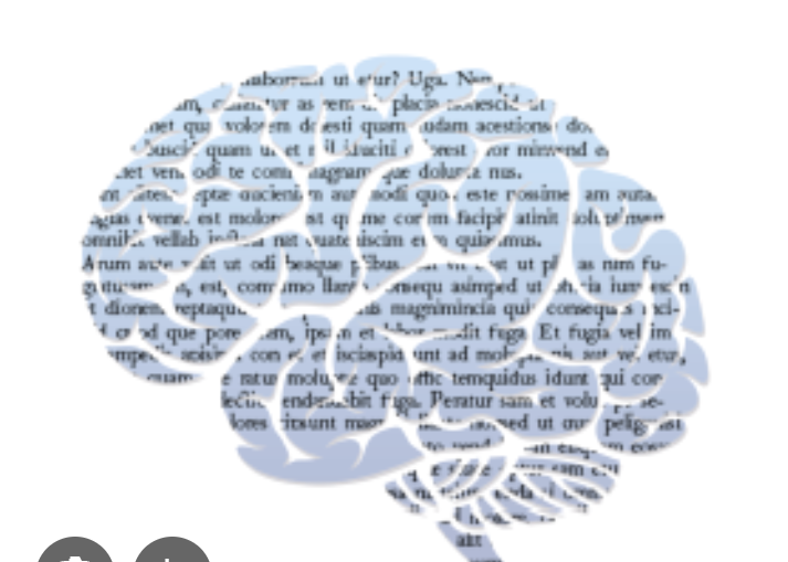 la psycholinguistique est une discipline située au carrefour de la linguistique et de la psychologie